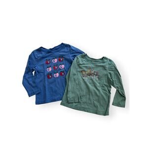 Hanna Andersson sparkle apples & butterfly tee bundle